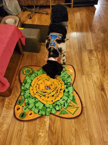 a reviewer's dog hunting for treats on the snuffle mat