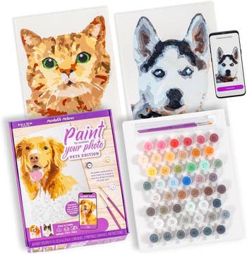 Paint-by-number kit for pet photos including custom canvas, paints, and instructions, plus sample pet portraits