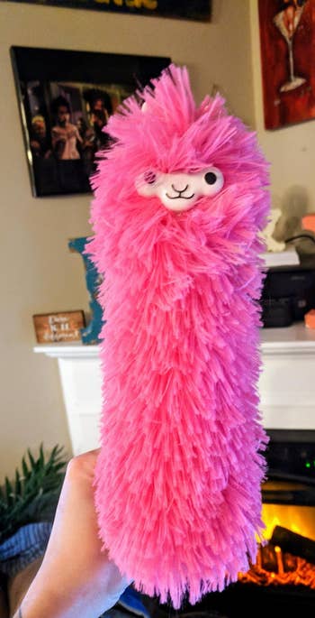 Reviewer holding their pink llama duster