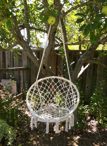 Reviewer image of white macrame saucer chair hanging in an apple tree