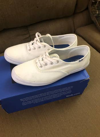 White Keds sneakers rest on top of a blue Keds shoe box, placed on a brown couch