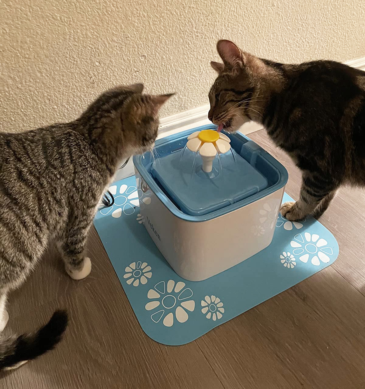 a cat drinking out of the automatic water fountain while another watches