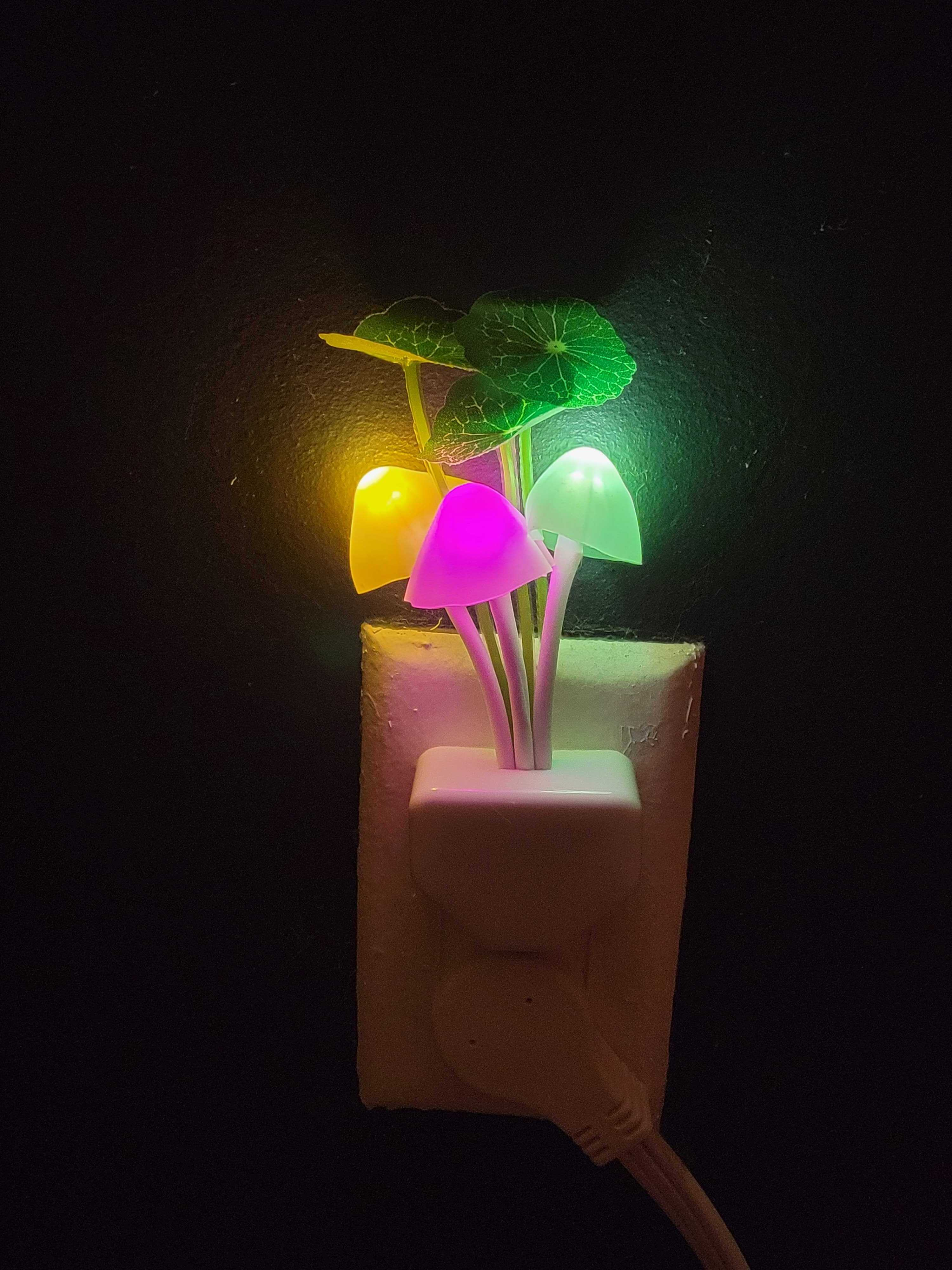 the LED color shifting mushrooms in the dark