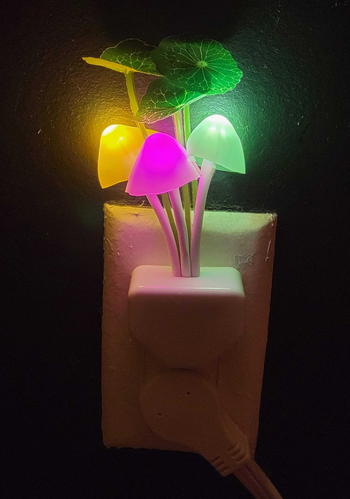 the LED color shifting mushrooms in the dark