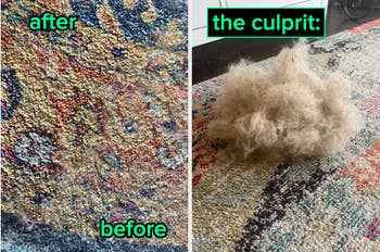 Reviewer's carpet looking dingy, dirty, and faded labeled before, and after using the Uproot cleaner looking fresh, clean, and bright labeled after, and a giant removed ball of hair removed from the carpet labeled 