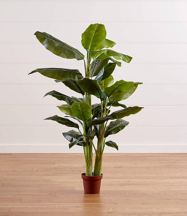 Fake banana tree inside a small pot on hardwood floor in front of white wall