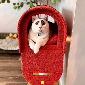A cat inside a cozy, hanging red pet bed shaped like a backpack