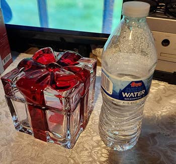 reviewer image of the candy dish next to a plastic water bottle for size