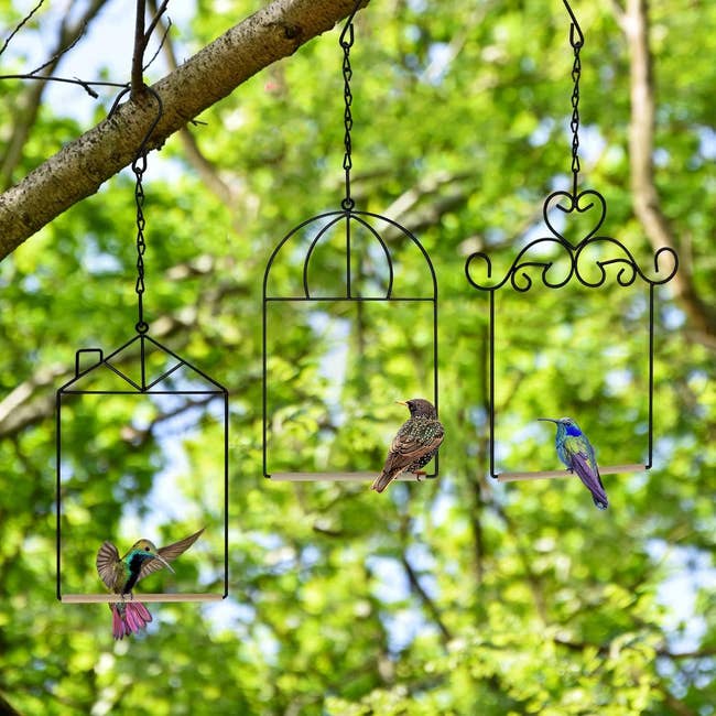 Three decorative birdcages bent  from a branch, each   with a antithetic  vertebrate  wrong  against a greenish  leafy background