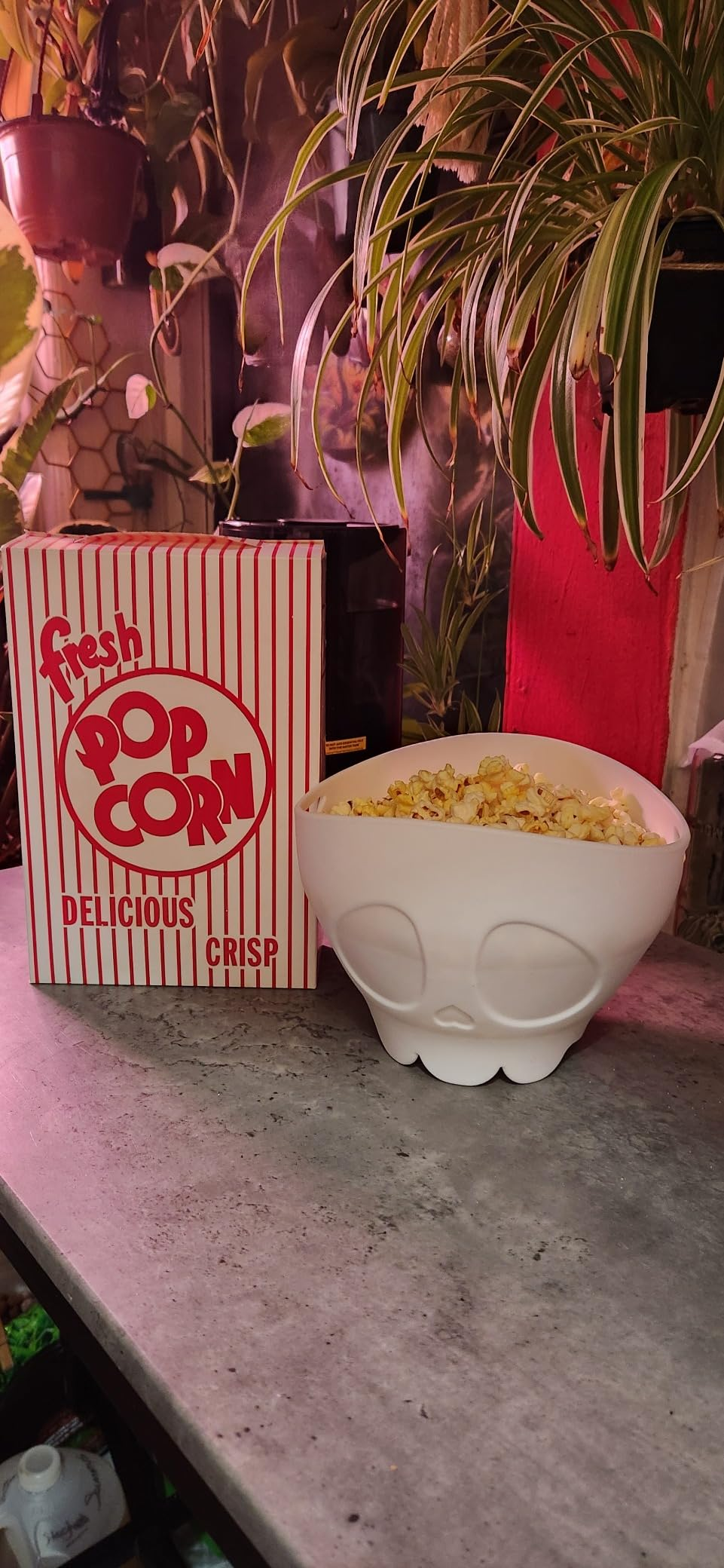 Popcorn container  and  skull shaped vessel  connected  a countertop