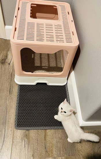 gray honeycomb-patterned square mat next to cat litter box in bathroom