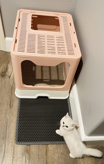 gray honeycomb-patterned square mat next to cat litter box in bathroom