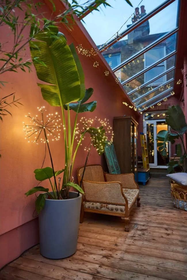 Cozy indoor patio with potted plants, rattan furniture, and drawstring lights nether a solid ceiling, creating a relaxed buying ambiance