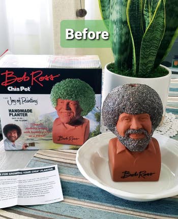 a reviewer's chia pet with the raw chia seeds sticking to Bob Ross's head