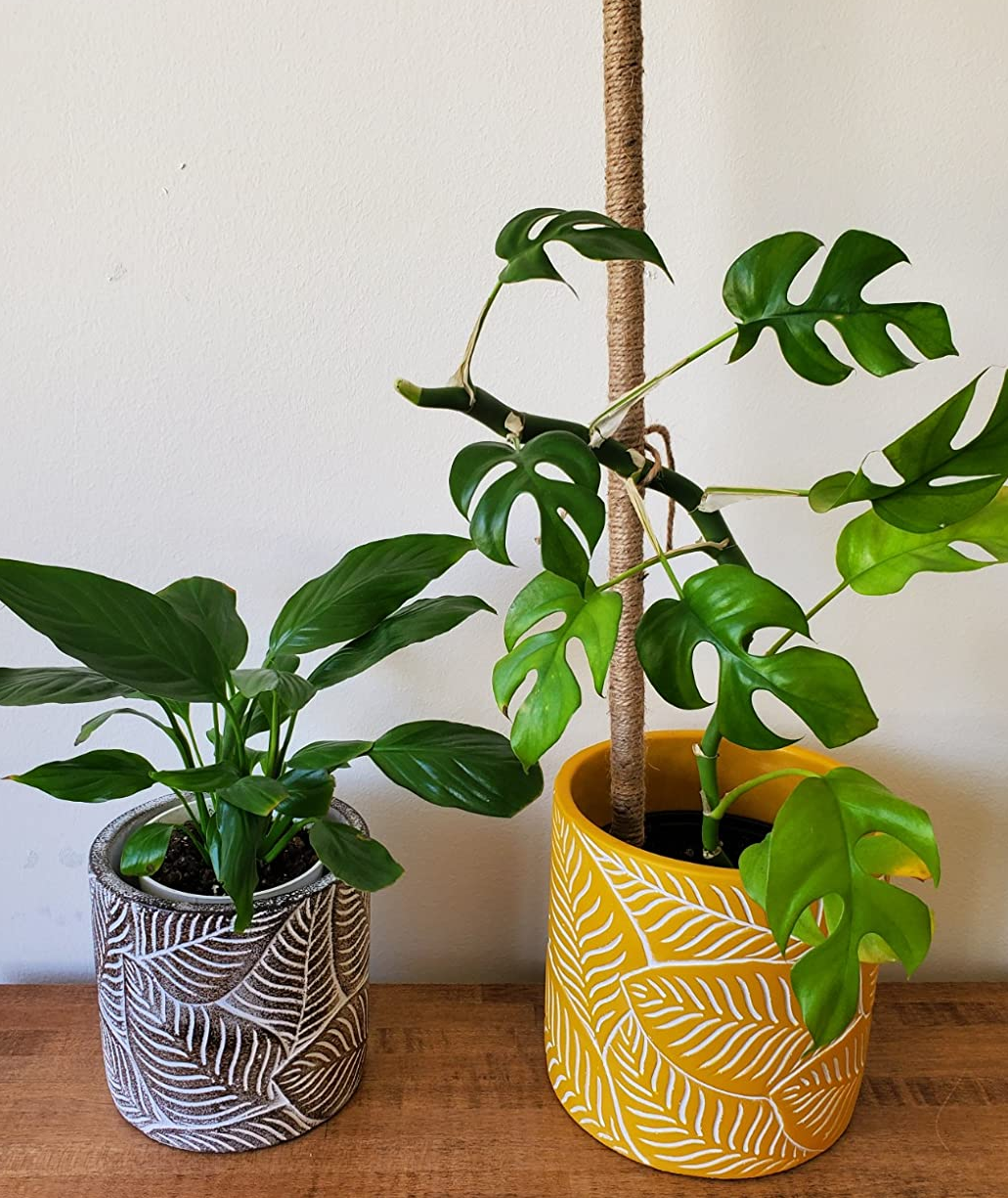 The 25 Cutest Pots And Planters For All Of That Gardening You're Doing