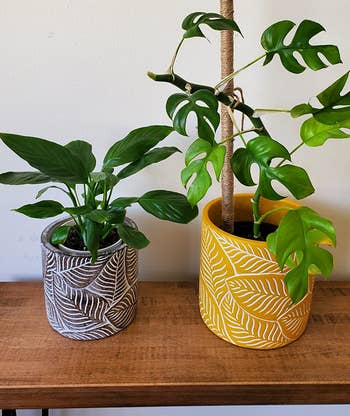 the same planter in yellow and bronze, in two different size