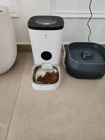 A reviewer's feeding station with some food in the bowl