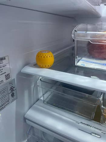 deodorizer ball in reviewer's fridge
