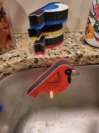 red bird shaped sponge sitting on perch attached to side of reviewer's sink