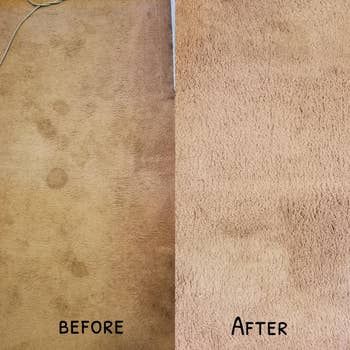 Before and after shot of stained carpet vs stain-free carpet