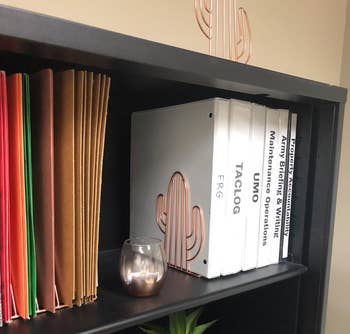 rose gold cactus version on a reviewer's shelf
