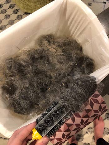 reviewer photo showing a pile of dust and pet hair the roomba was able to pick up
