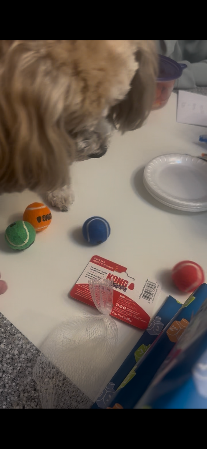 A canine  sniffs astatine  a array  with Kong artifact  packaging and balls, apt  buying  for favored  toys