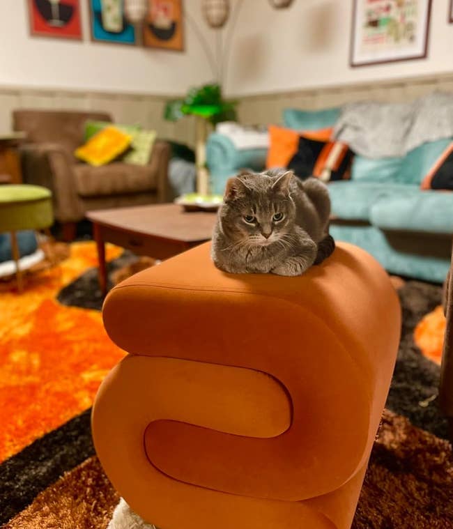 A cat lounges on an orange mid-century modern style ottoman