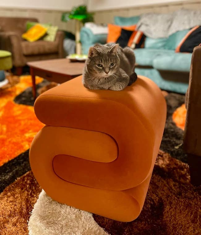 A cat lounges on an orange mid-century modern style ottoman