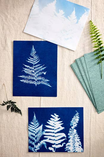 Three blue and white fern-themed prints on textured paper, with green fern leaves beside them, showcased on a neutral fabric surface