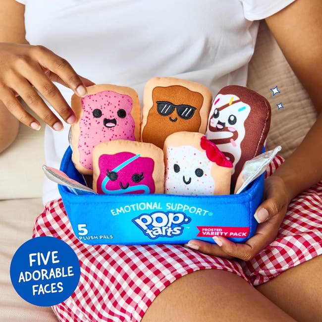 Plush Pop-Tarts with various cute facial expressions rest in a box on someone's lap, labeled