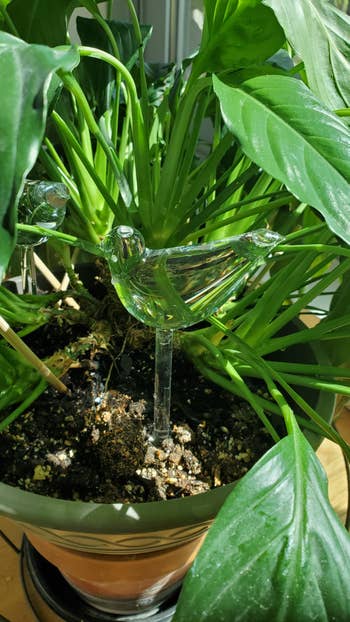 a glass bird in a potted plant