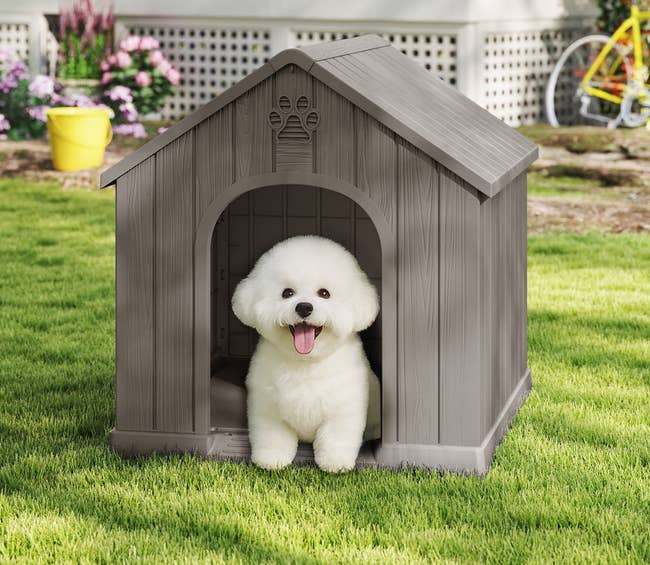 Fluffy achromatic canine sitting successful a grey doghouse outside, with substance speechmaking