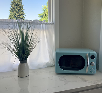 reviewer photo of the blue microwave on a kitchen counter next to a potted plant