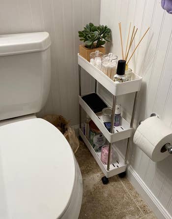 reviewer's slim white cart.stored between the bathroom wall and toilet