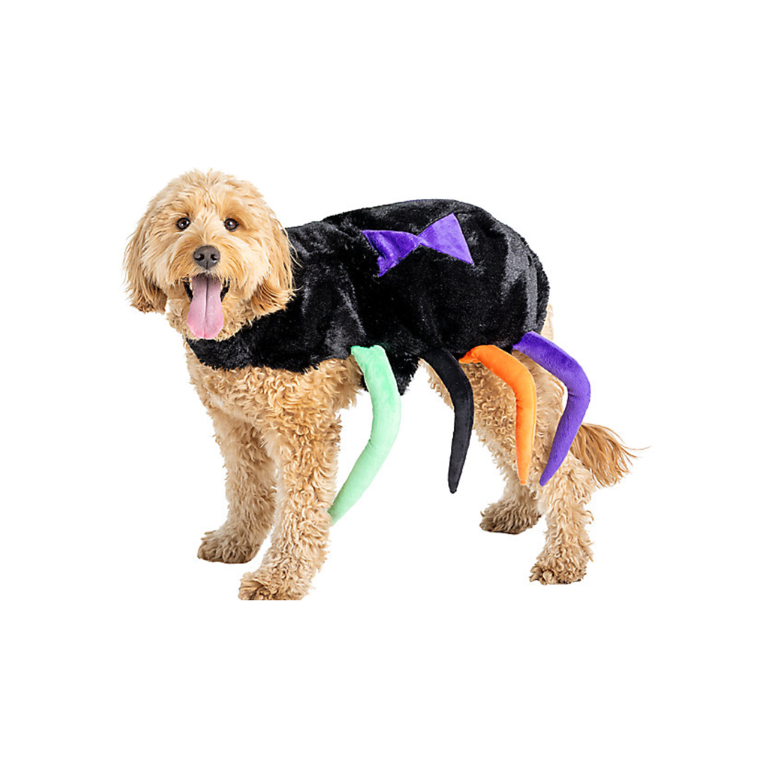 dog in a spider costume