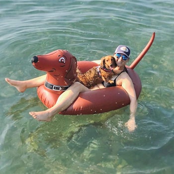 reviewer and their dachshund in the tube with large head and tail
