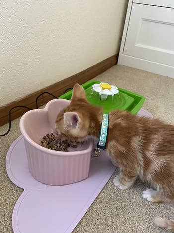 A kitten eats from a bowl on a pet-shaped mat; perfect for a pet owner's shopping list