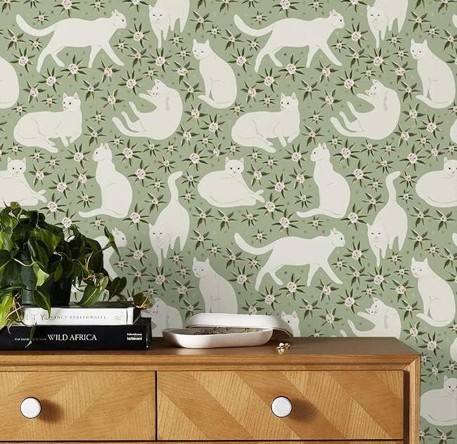 green peel-and-stick wallpaper with white cat illustrations