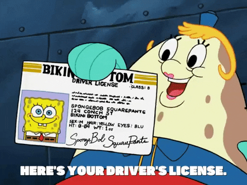 These are the drivers licenses shown throughout the spongebob squarepants s...