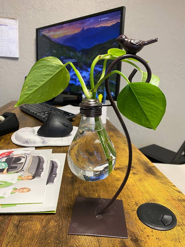 Decorative lamp with plant design on a desk, office background with computer monitor
