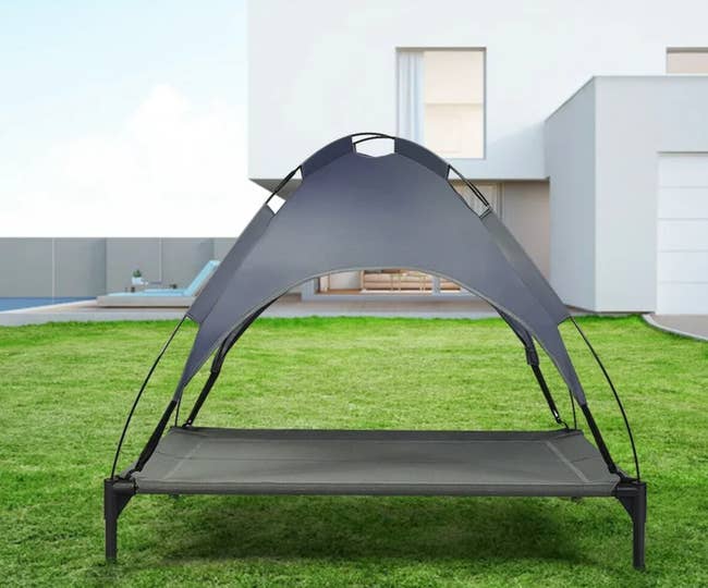 Black elevated dog bed with canopy over the top outside