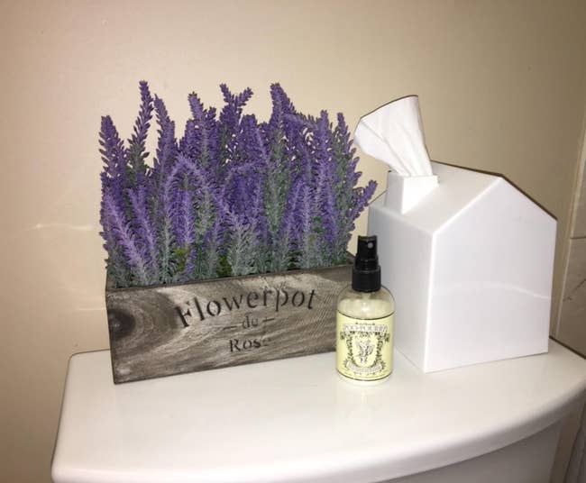 a reviewer photo of a box filled with lavender next to a the white house-shaped tissue box cover with a tissue coming out the 