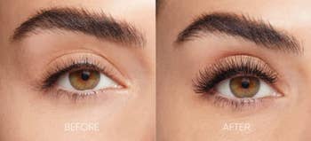 before and after of mascara being used on a model