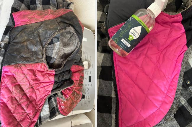 before/after of a canine  overgarment   that's been cleaned utilizing the spray