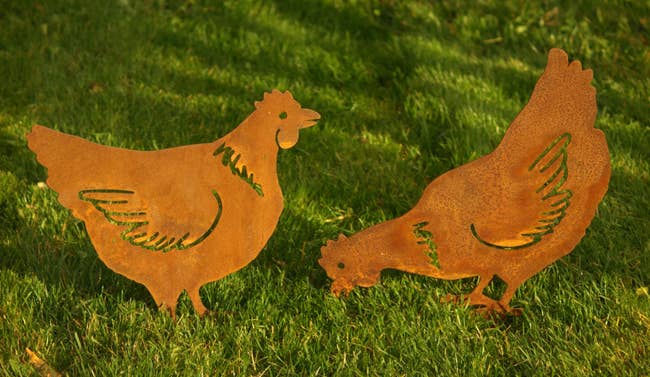 two rusty hens in grass
