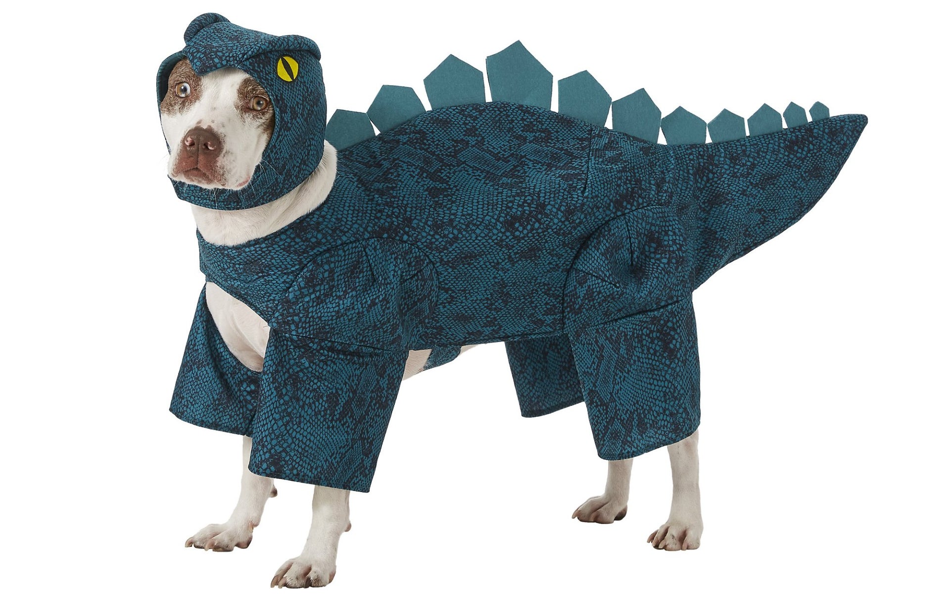 Dog in dinosaur costume