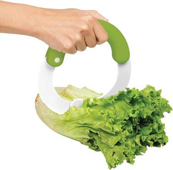 circular shaped tool cutting head of lettuce