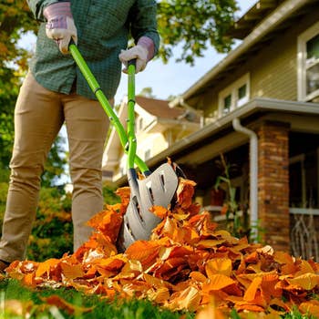 39 Random Things To Buy For Your Home This Fall