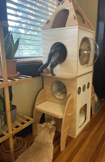 a cat crawling into the top of the rocket ship cat condo while another watches